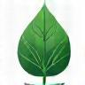 Éco-responsable – Produits écologiques utilisés à Lyon